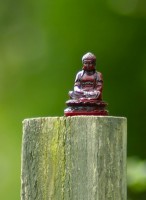 /album/green-buddha/green-buddha-jpg/