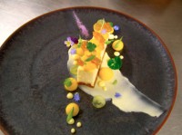 /album/galerie-de-photos/mandarine-jpg/