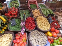 /album/galerie-de-photos/dscf1837-jpg/