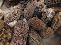 /album/galerie-de-photos/dscf1849-jpg/