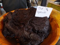 /album/galerie-de-photos/dscf2183-jpg/