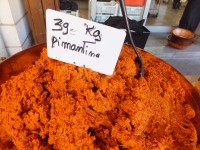 /album/galerie-de-photos/dscf2184-jpg/