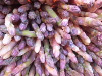 /album/galerie-de-photos/dscf2188-jpg/