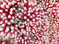 /album/galerie-de-photos/dscf2189-jpg/