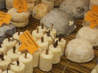 /album/galerie-de-photos/dscf2242-jpg/