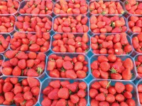 /album/galerie-de-photos/img-0069-jpg/